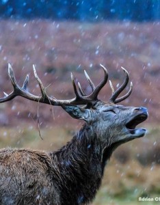 唯美微信风景，城市美好好景做微信也不错的