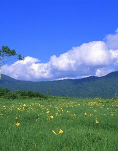 中老年风景图片，这样的风景我感觉是很美的