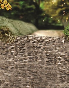 适合做的好看风景图片，孜孜不倦的追求自己所爱的一切