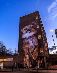 唯美大全风景，城市美景20张喜欢收藏了
