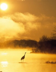 寓意好的风景图片好运，自然美景