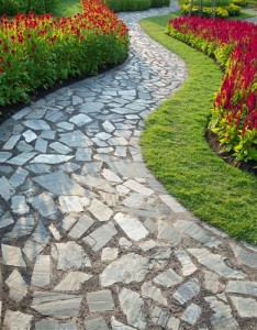 漂亮绿色的花园风景唯美简约图片