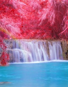 瀑布风景图片，这美丽的景色真是令人心旷神怡