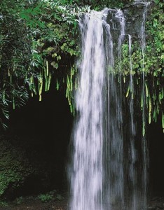 2023清新唯美寓意好的风景图片高清