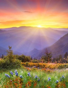 图片风景，风景秀丽，气候宜人