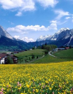 唯美头像风景图，美丽的田园美景
