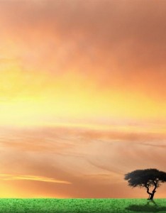 天空美景风景自然唯美，天空是蔚蓝的，是五彩的