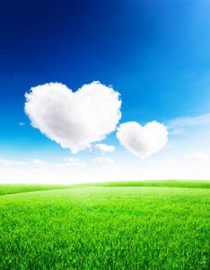 绿色草原风景清新淡雅，令人神清气爽