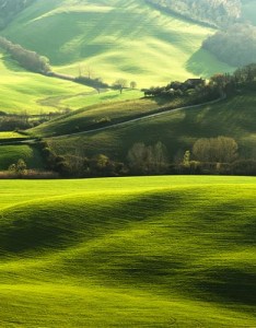 微信草原风景，草原是平静的