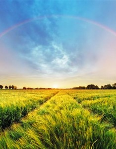 微信最美的草原风景，草原像一幅欢乐动人的风景画