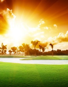 最好看的绿色，好看淡绿色的美景你值得看看了