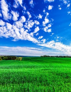 风景图片大全高清 草原，绿色清新非常的漂亮