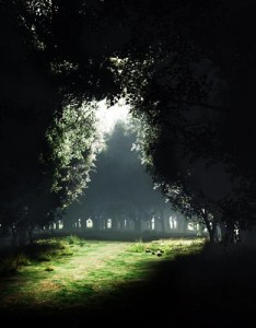 满眼的嫩绿风景唯美小清新，绿色让你心情愉悦