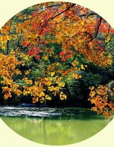 让人一看就很舒服，山水相间多姿多彩风景太美了