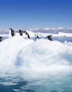 冰川风景图片，像神话中仙境一般的存在第二期