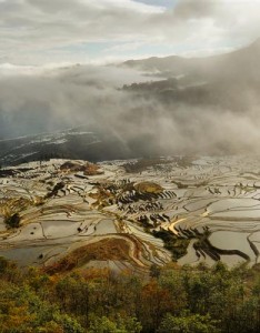 风景2023年最新版图片第一期，农田梯田五颜六色壮河山