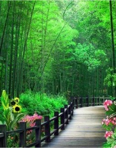 山水风景，人间仙境，简直太美了