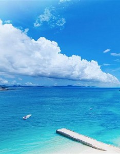 好的图片大全风景优雅，充满永久不息的生命力