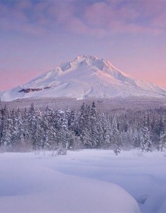 自然世界此刻是如此的美丽，好看风景你值得使用了