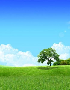 qq风景意境图片，特别清晰唯美又清新养眼的景色