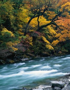 青山绿水风景图片，我我心中这种才是最美
