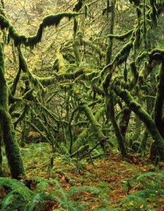 2023唯美风景意境最新版，我都尽量留给喜欢的人