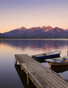 小清新唯美风景意境，太美了用了就不想换掉了