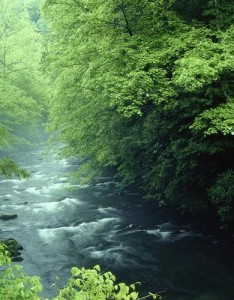 风景意境2023年最新版图片，绿色风光养眼护眼