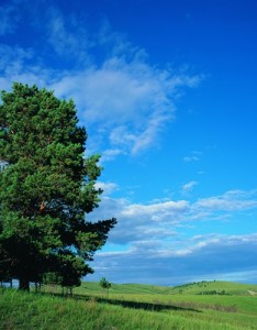 广阔草原蓝天白云最美风景意境图片