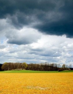 特别好看风景唯美，美到爆的自然风景美醉了