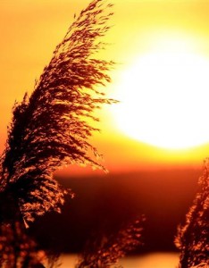 夕阳风景唯美，光景交融的日落黄昏的夕阳唯美图片