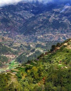 唯美意境风景，田园绿色生活需要这样的风景