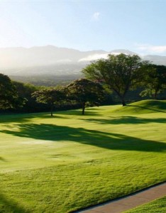 景色唯美意境自然风景高尔夫球场图片大全