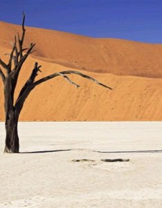 2023风景大自然 荒凉的沙漠戈壁风光