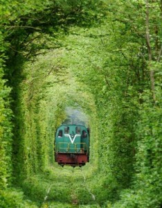 绝美的风景意境唯美风景图片