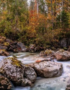微信山水自然风景意境图片，喜欢用美景的你快快来吧