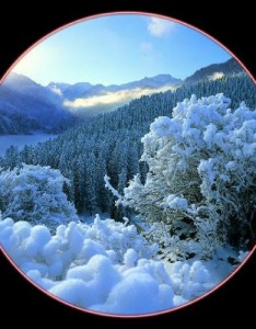 运气越来越好的唯美意境，特别好看风景雪景你那里下雪了吗