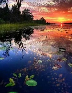 2023适合一辈子风景，无字无水印，美美的视觉享受