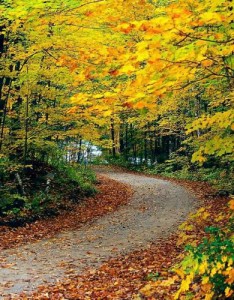 超好看的风景图片，微信最吉利的风景适合长期使用