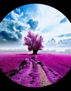 超漂亮的风景唯美意境图片