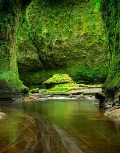 2023风景唯美图片，绿色清新适合长期使用的意境图片