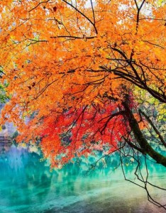 2023年最火唯美图片，一看就舒心的图片做微信头像才是最好的