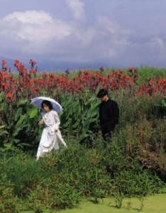 养眼的图片，漂亮有意境的背景图你值得拿走