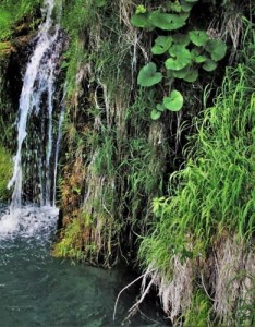 适合微信的风景意境图片克罗地亚普利特维采湖太美丽了