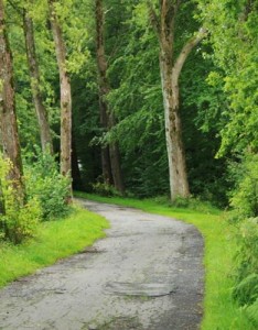 唯美的意境图片，优美的公路风景有意境的