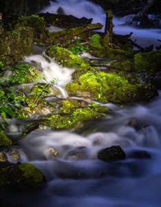 山水风景意境图片，潺潺的溪水与绿色太美了