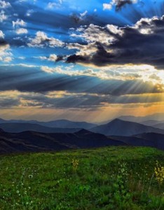 绿色优美的草原风景，蓝天白云绿草地太美了