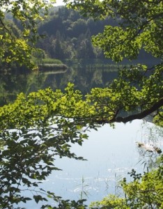 自然风景意境图片，最美的青山绿水送给朋友们