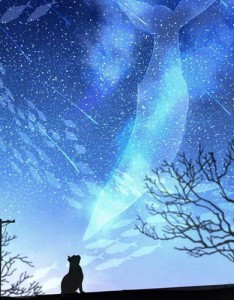 最美真实风景意境图片 所有的景色都很美丽