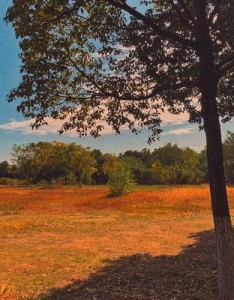 真实风景意境图片更新一波，不能总是更新动漫系的